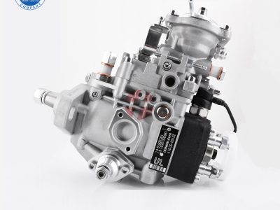 Ve Fuel Pump VE4-12F1100L954 Ve Fuel Pump VE6/10F1900RND230