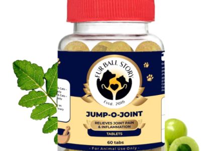Best Joint Supplement for Dogs