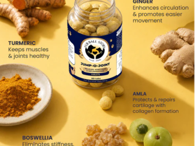 Best Joint Supplement for Dogs