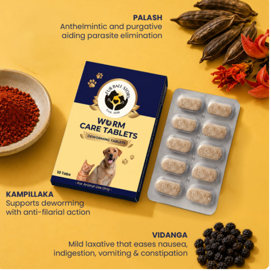 Deworming Tablets for Dogs for Everyday Pet Care