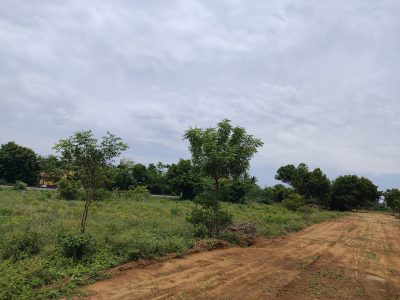 SAPTHA ESHWARI NAGAR