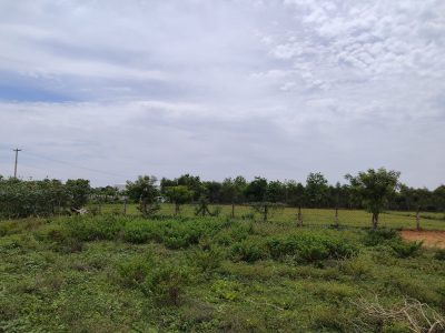 SAPTHA ESHWARI NAGAR