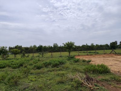 DTCP APPROVED PLOTS AT PALAYASEEVARAM