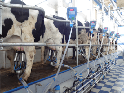 A Parallel Parlor from Vansun Milking Is the Right Choice for Large Dairy Herds in India