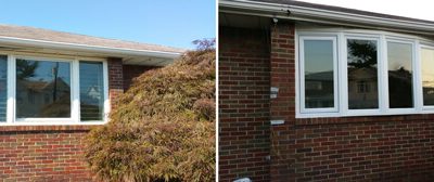 Deluxe Replacement Windows