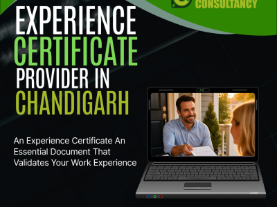 Work Experience Certificate in Chandigarh