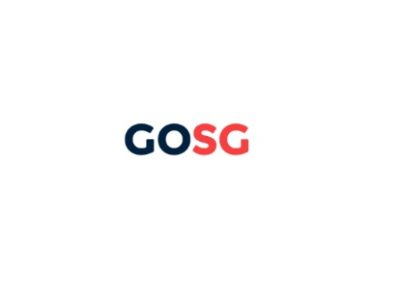 GO SG CONSULTING