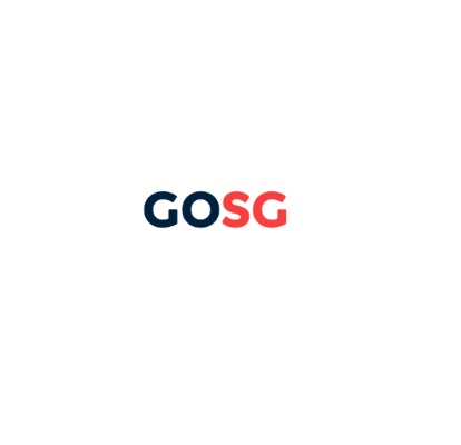 GO SG CONSULTING